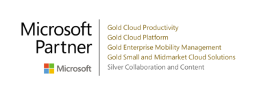Microsoft Partner Logo